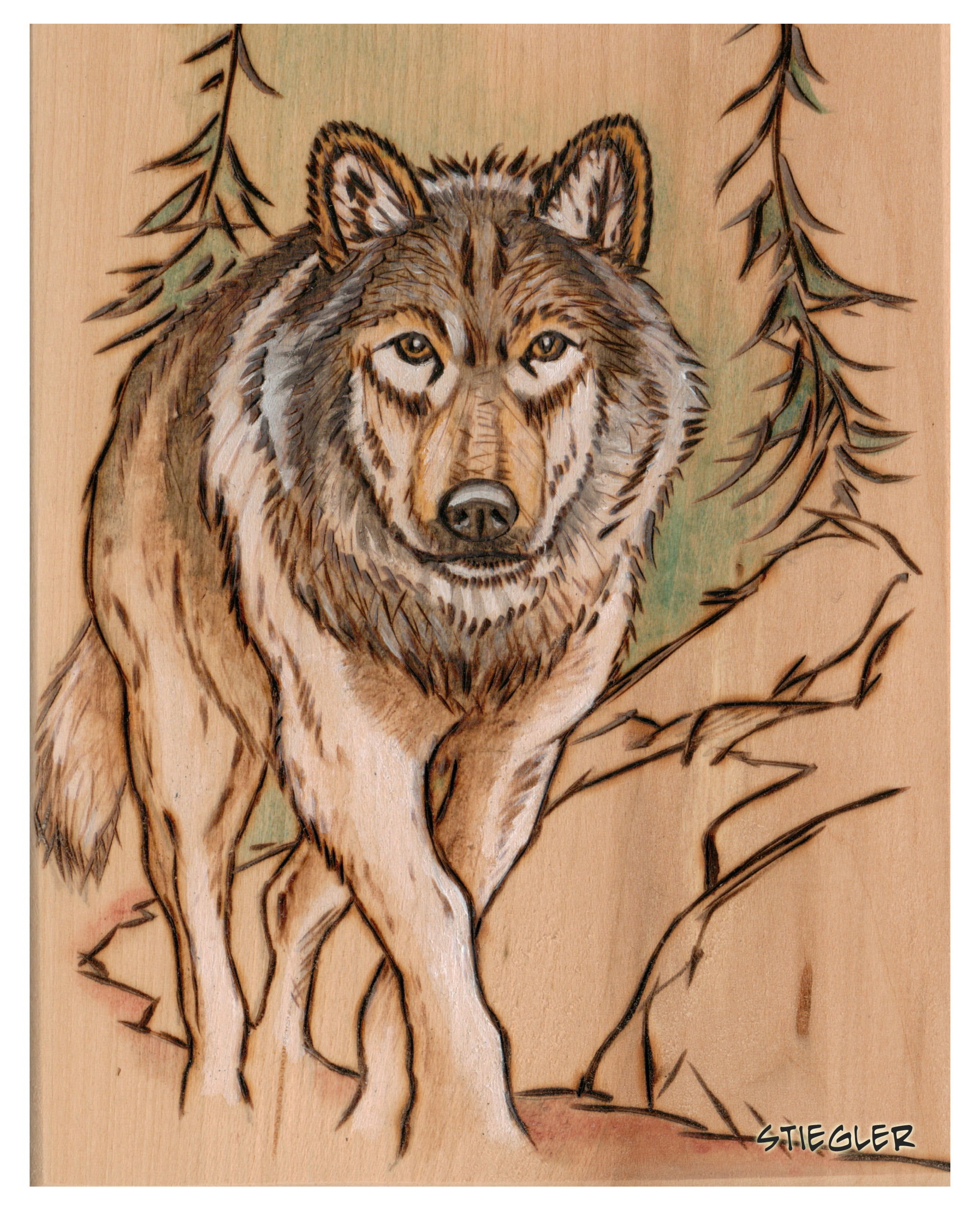 wolf walking drawing